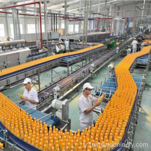 Ligne de production de gelée de confiture de fruits